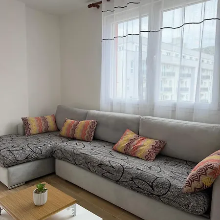 Guest Daire Shëngjin